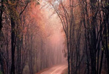 卢卡库头槌破门先拔头筹，打破个人国家队495天正式比赛进球荒.