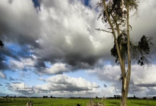 Kaiyun：备战世预赛18强赛 国足新一期集训赴阿联酋备战.