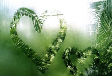 Kaiyun：波叔怎么回事？美国0-1遭巴拿马绝杀无缘美洲联决赛 此前3届3连冠.