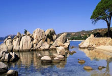 2025中超联赛赛程发布2025-01-28.